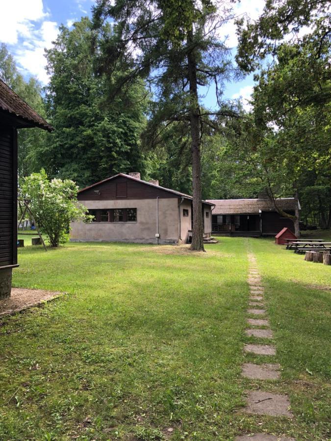 Oravapesa Guest House Häädemeeste 外观 照片