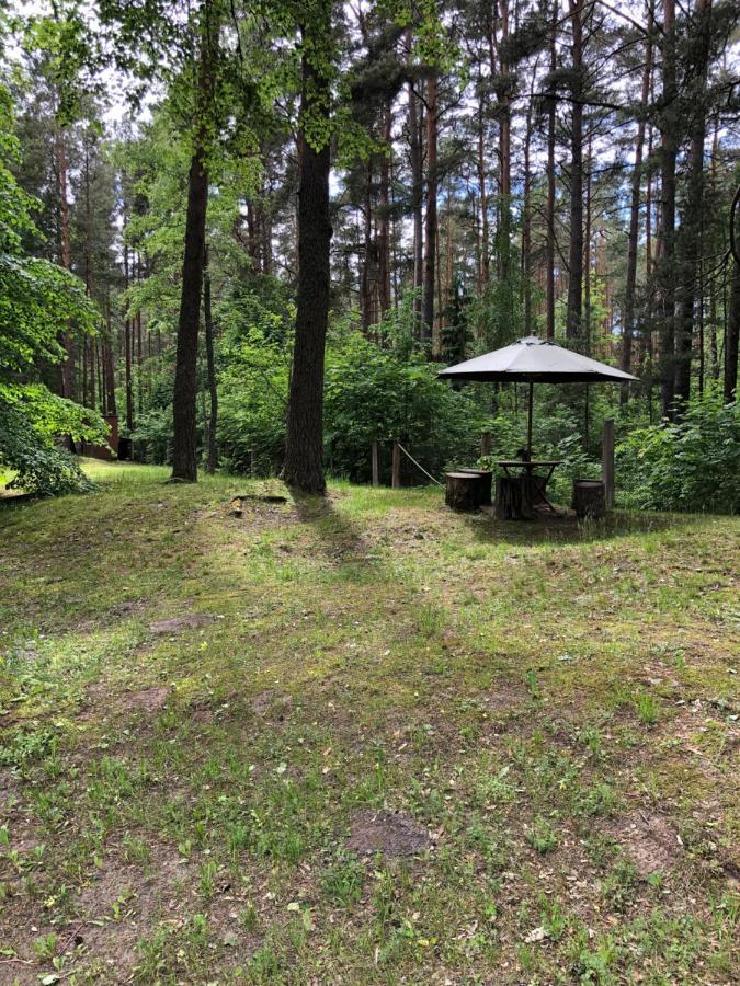 Oravapesa Guest House Häädemeeste 外观 照片