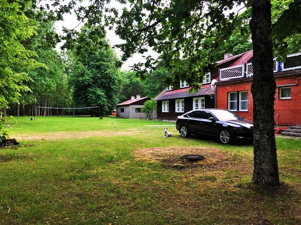 Oravapesa Guest House Häädemeeste 外观 照片